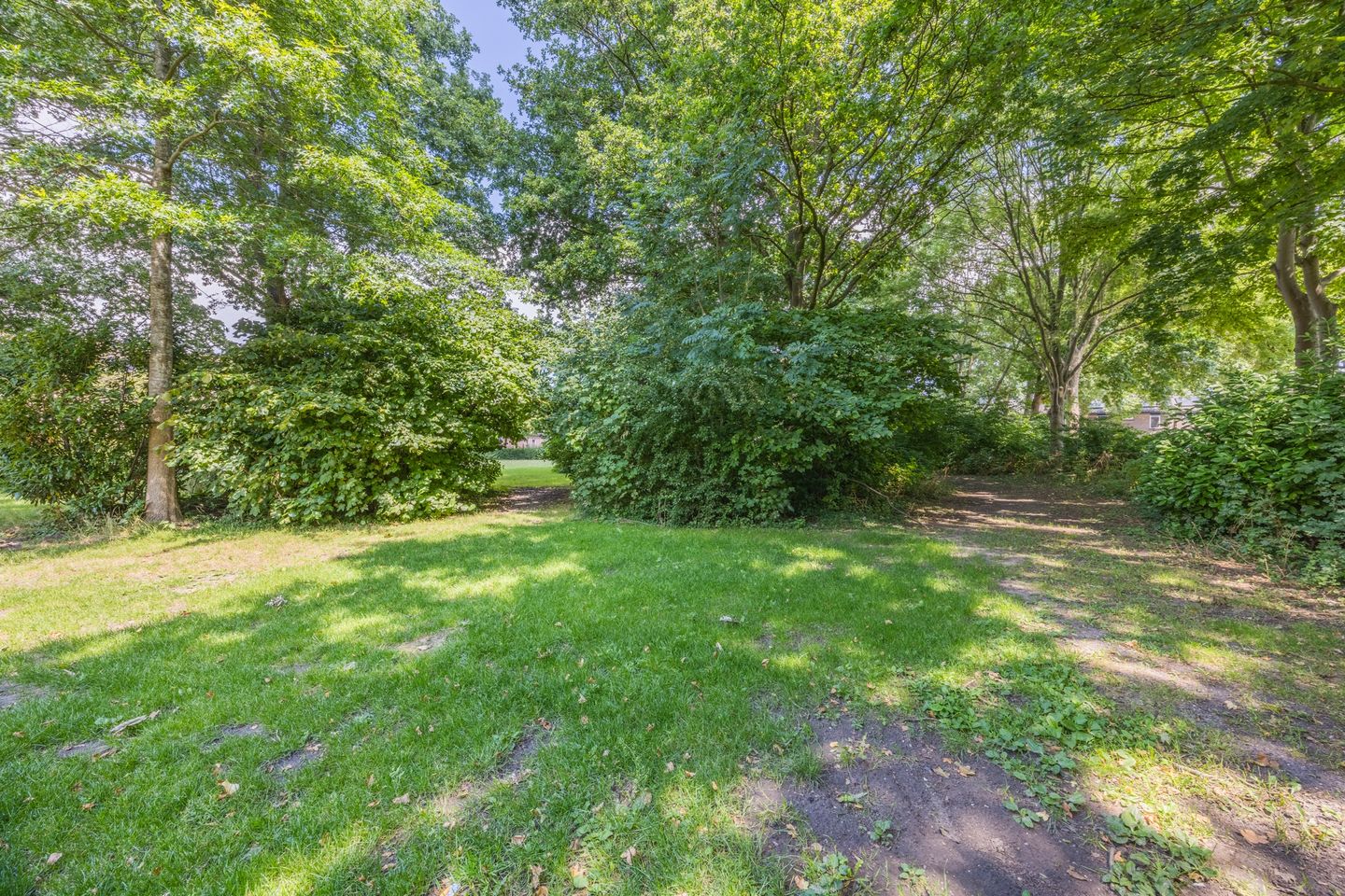 Foto 34 van Dokter Schreuderstraat 83