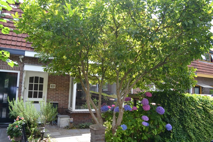 Photo 2 of Johan de Meesterstraat 8