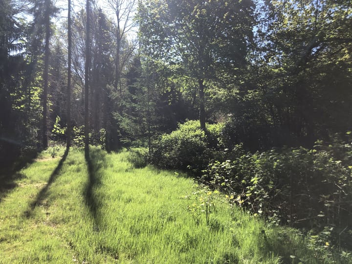 Foto 2 van Wildveld 33