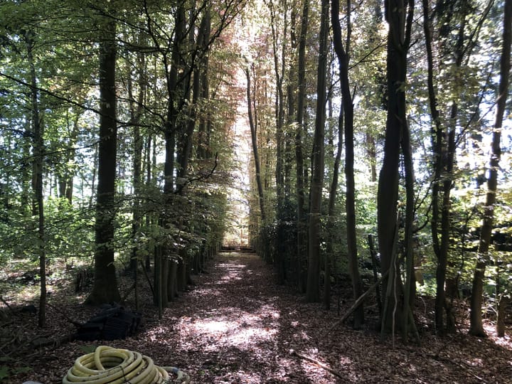 Foto 3 van Wildveld 33