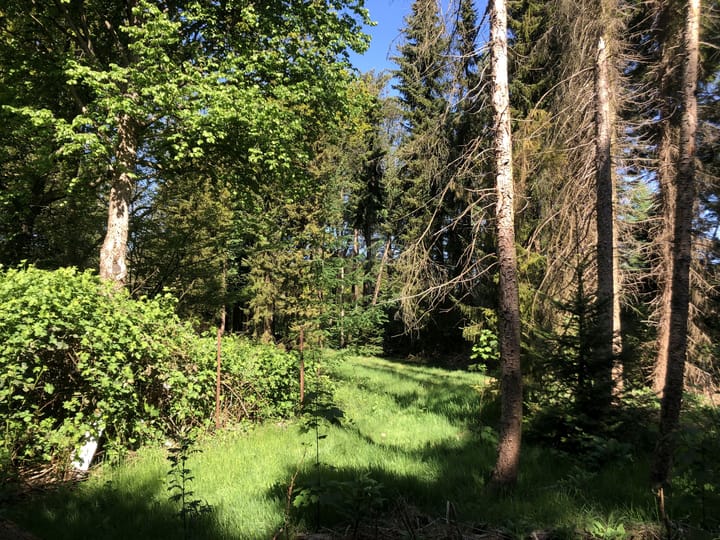 Foto 7 van Wildveld 33