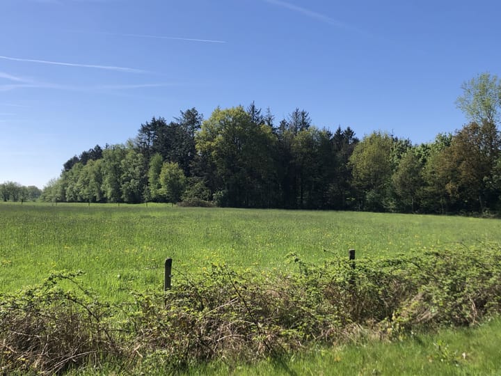 Foto 8 van Wildveld 33