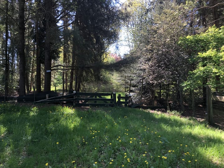 Foto 9 van Wildveld 33