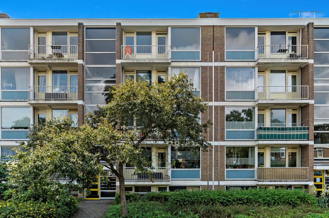 Foto 1 van Frans Cobellaan 56