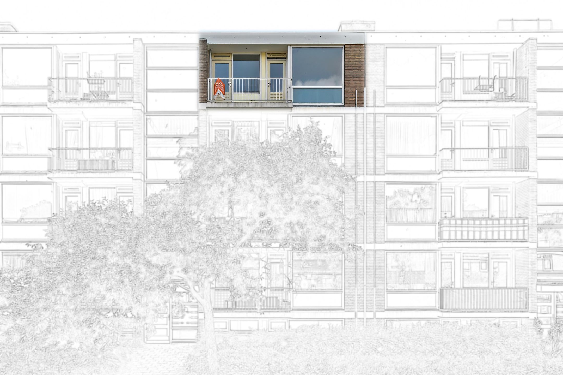 Foto 6 van Frans Cobellaan 56