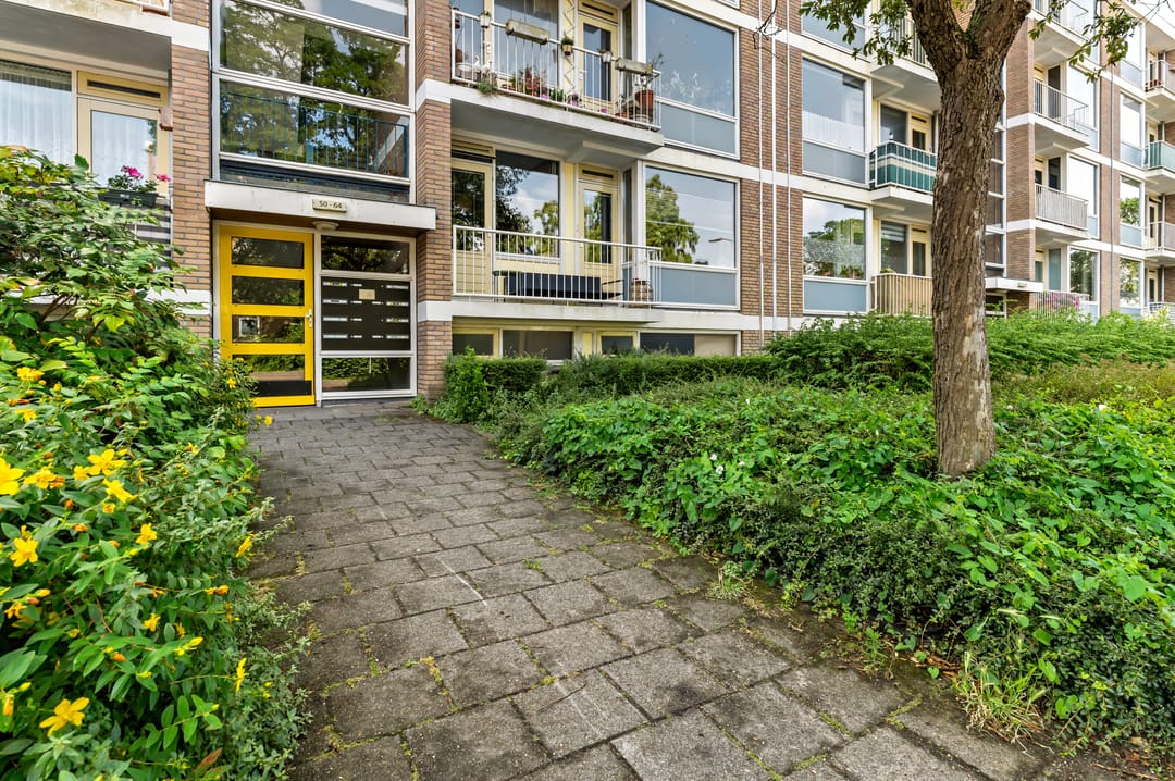 Foto 7 van Frans Cobellaan 56