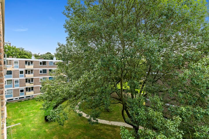 Foto 19 van Frans Cobellaan 56