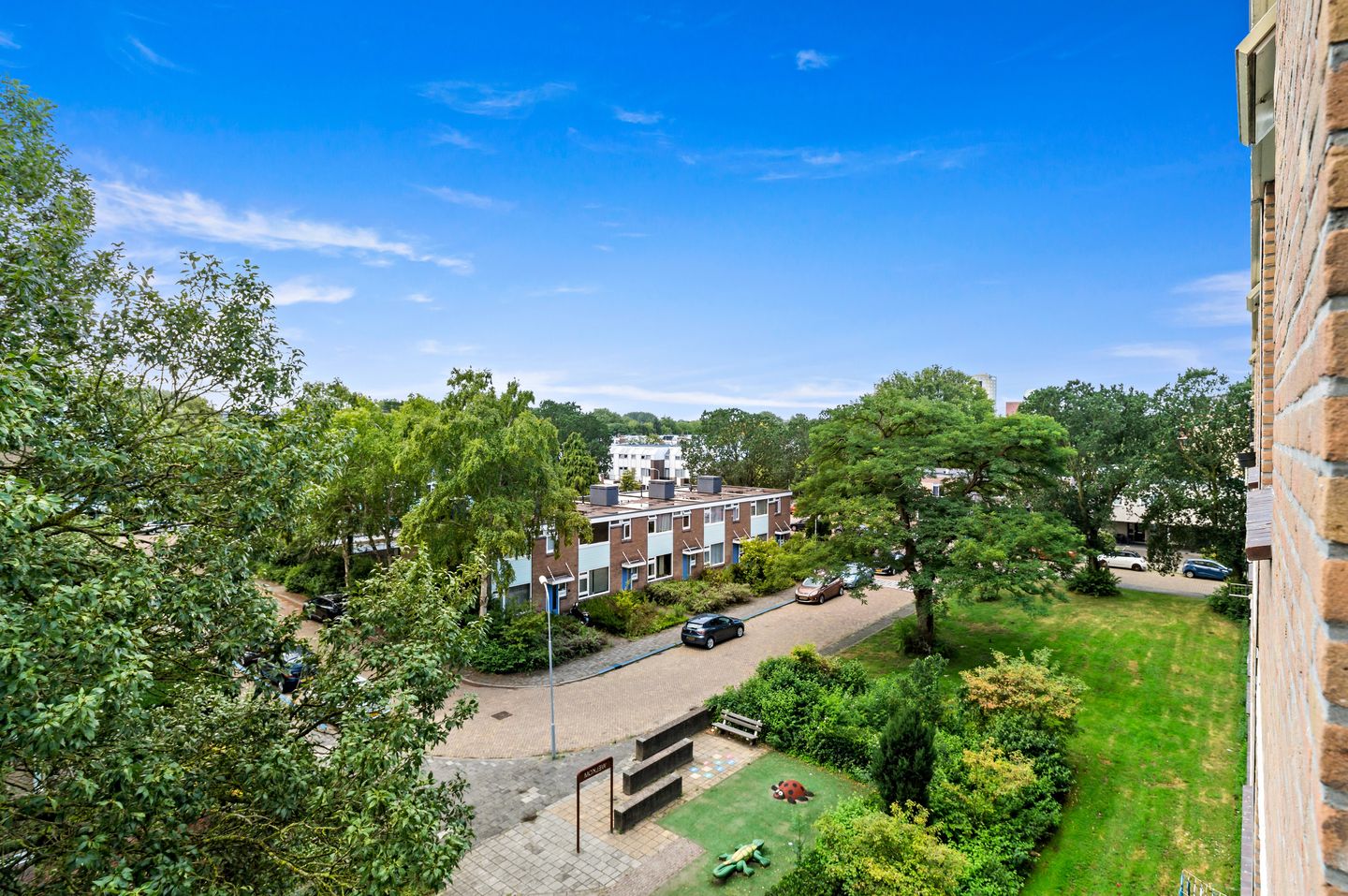 Foto 20 van Frans Cobellaan 56