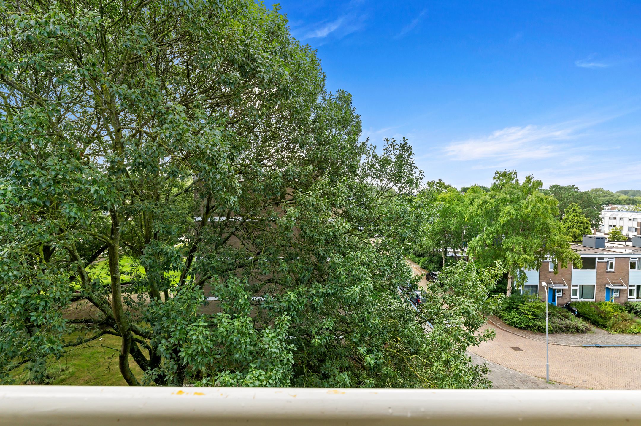 Foto 21 van Frans Cobellaan 56