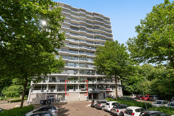 Foto 5 van Octant 137