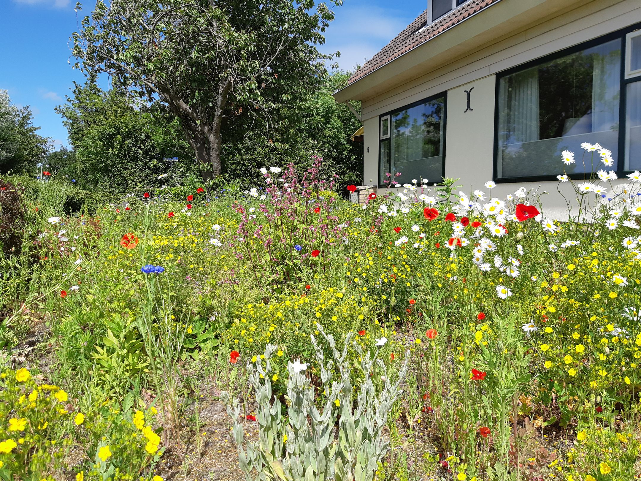 Foto 45 van Wasbeeklaan 5