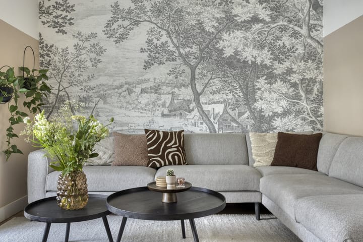 Photo 17 of Maatschappijstraat 31