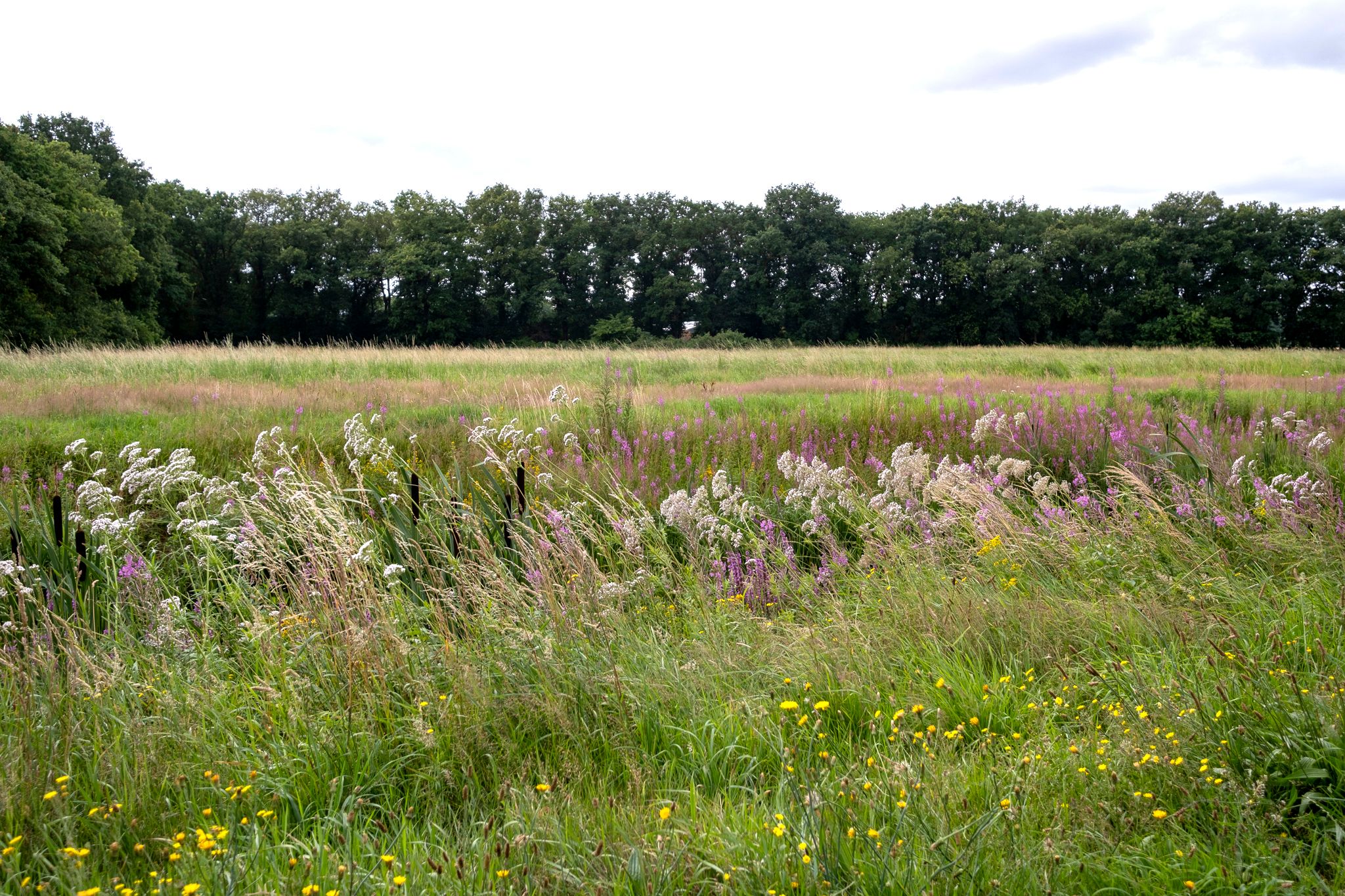 Photo 36 of Vlierhof 18
