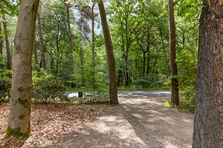 Photo 6 of Almenseweg 6