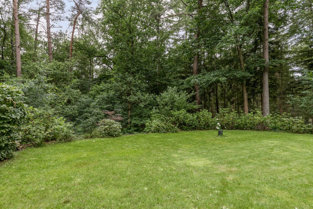 Foto 52 van Almenseweg 6