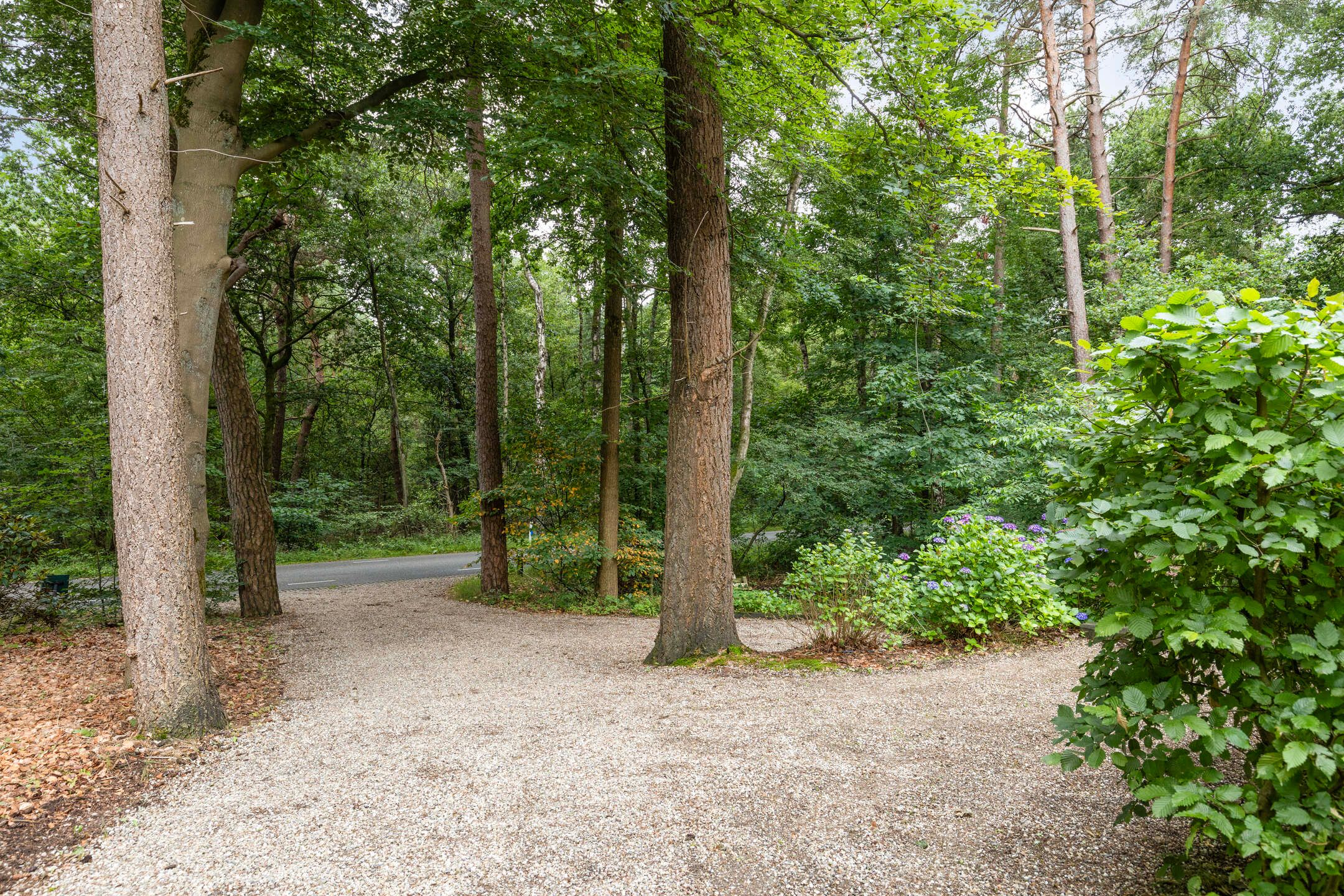 Foto 60 van Almenseweg 6