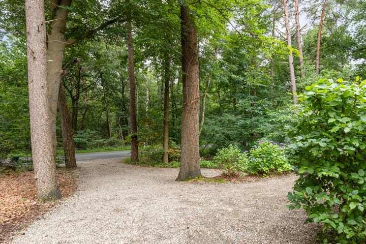 Photo 60 of Almenseweg 6