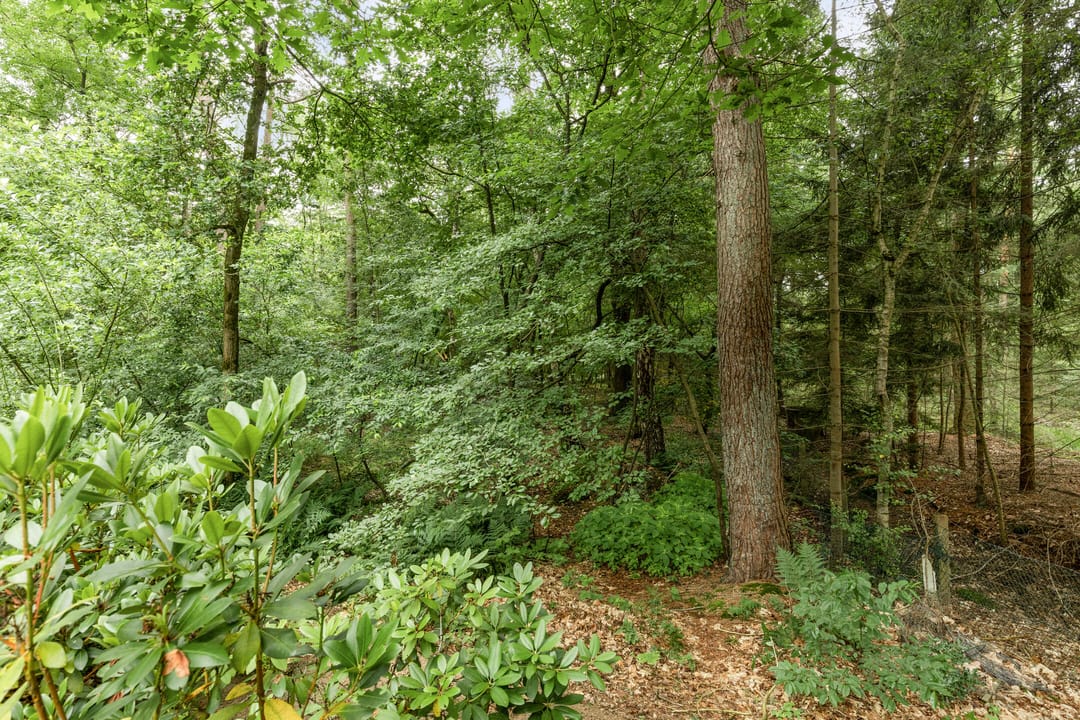 Foto 61 van Almenseweg 6