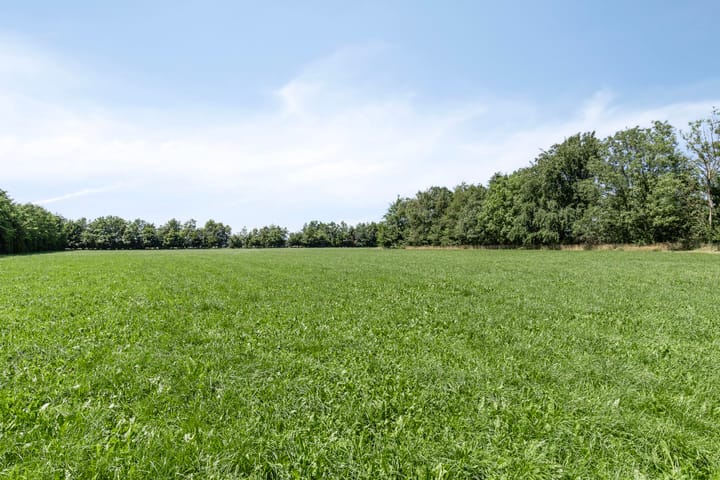 Foto 32 van Rendijk 3