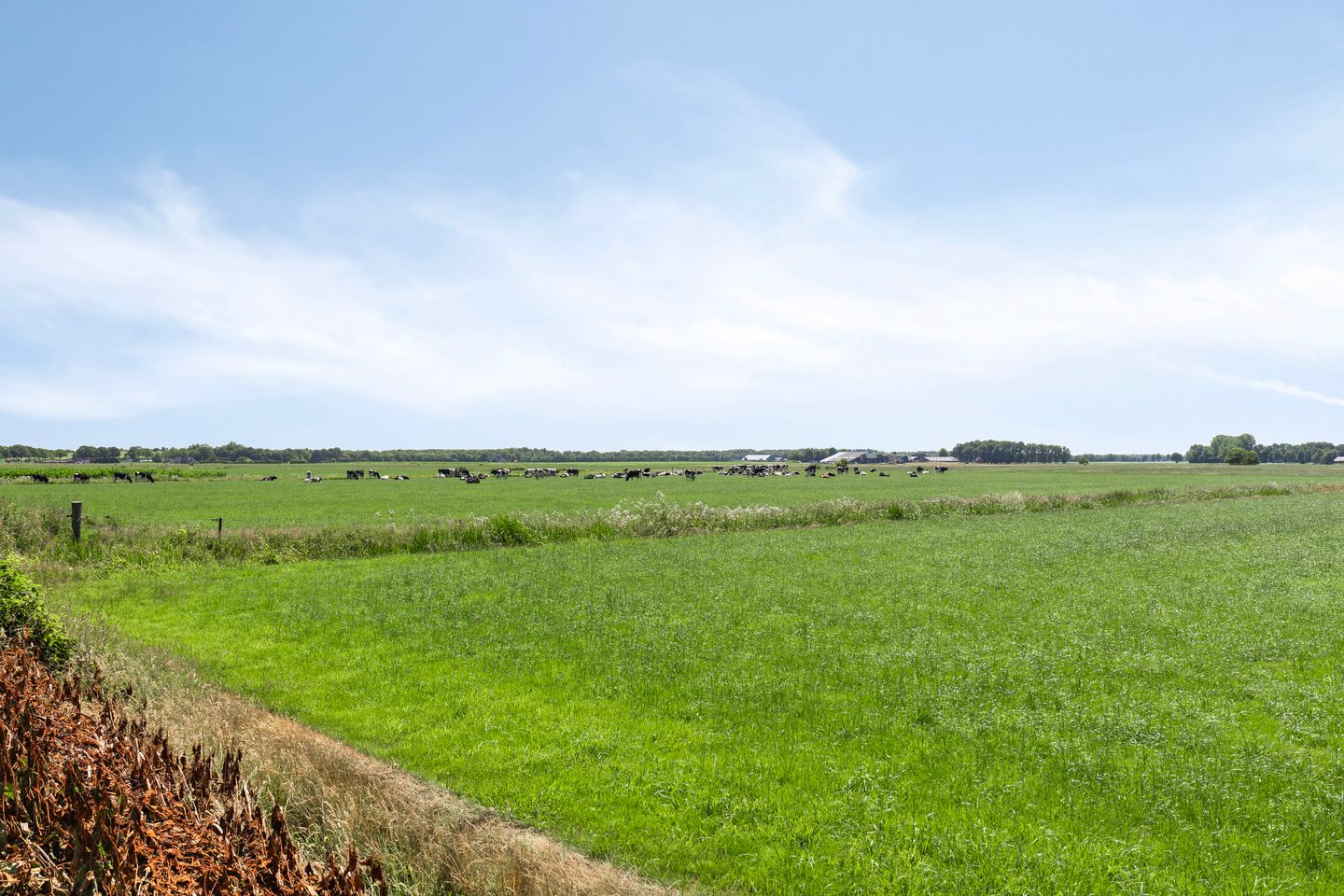 Foto 35 van Rendijk 3