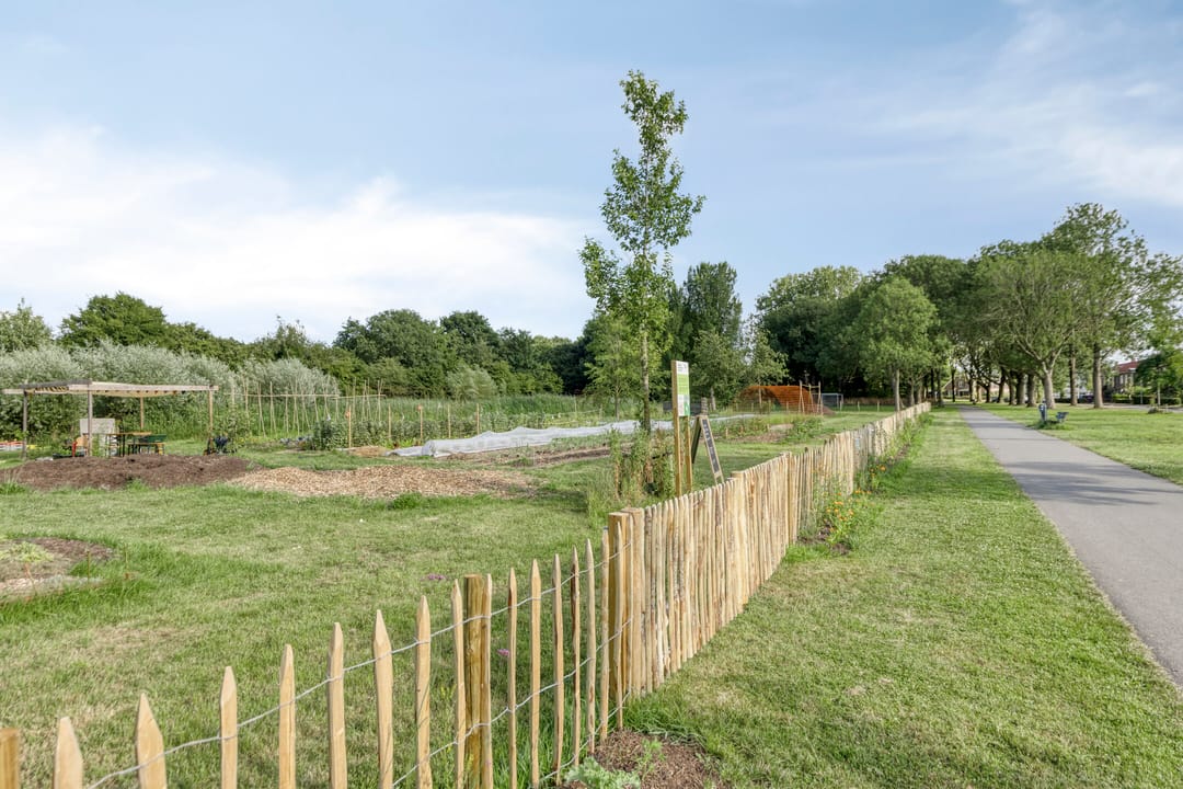 Photo 32 of Schieringerweg 71-B