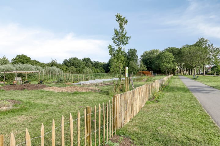 Foto 32 van Schieringerweg 71-B