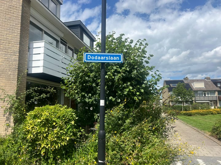 Foto 6 van Dodaarslaan 42