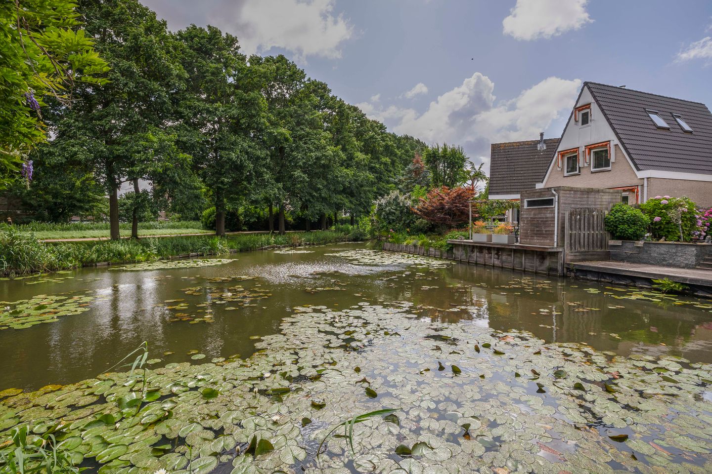 Photo 44 of Standaardmolen 60