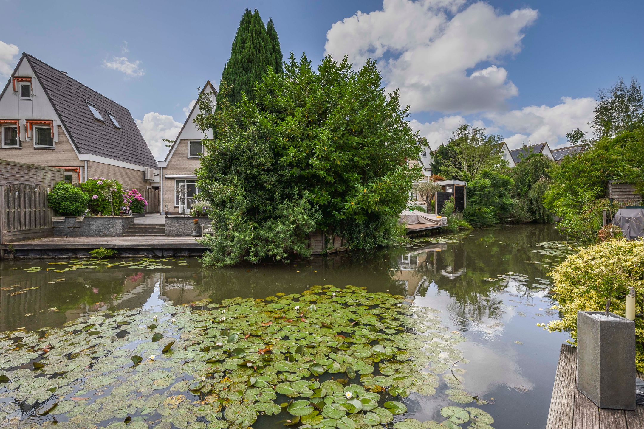 Photo 45 of Standaardmolen 60