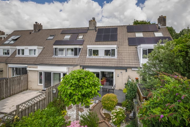 Photo 46 of Standaardmolen 60