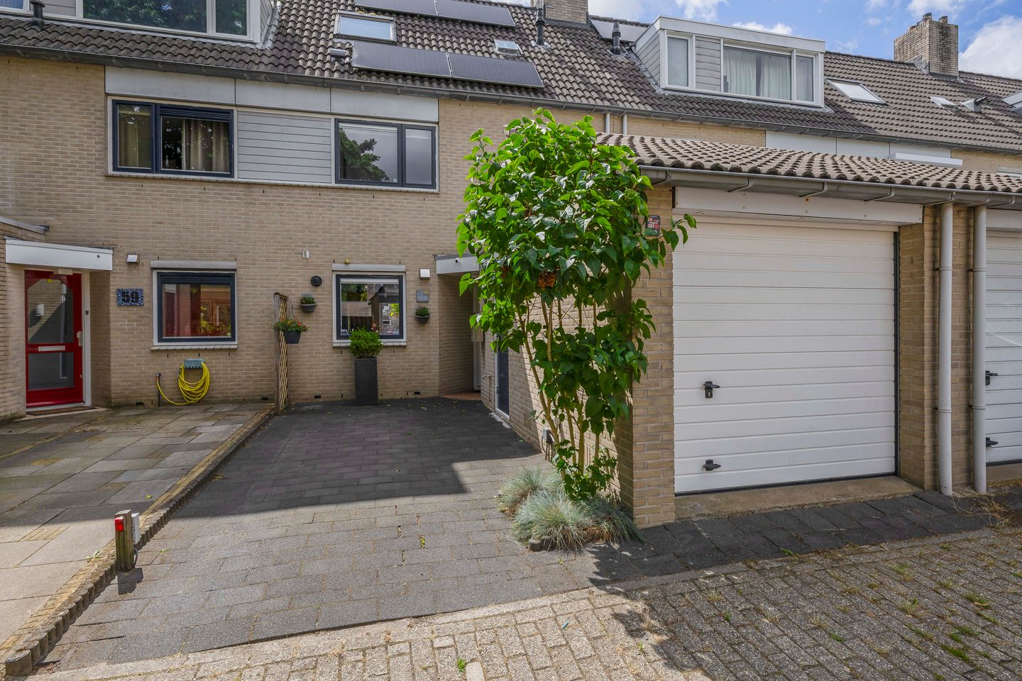 Photo 59 of Standaardmolen 60