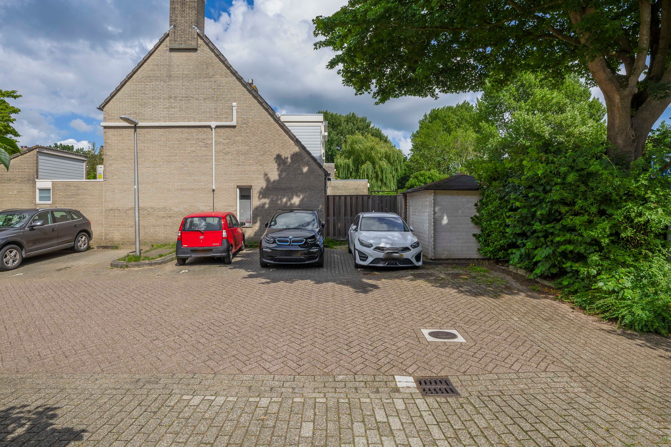 Photo 60 of Standaardmolen 60