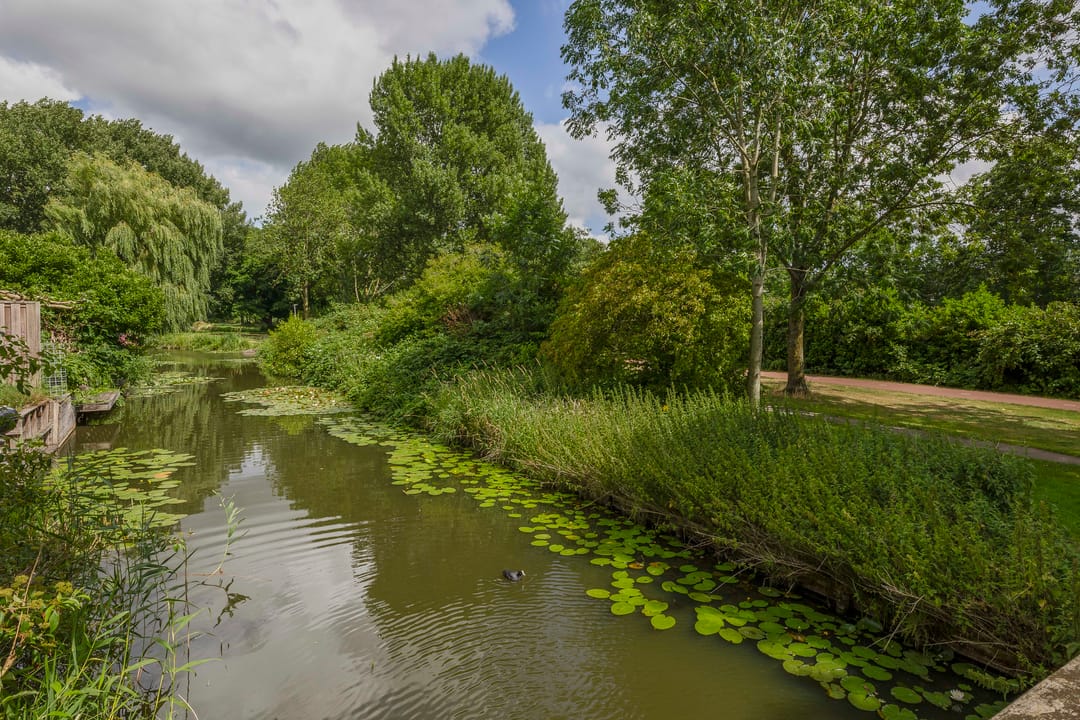 Photo 61 of Standaardmolen 60