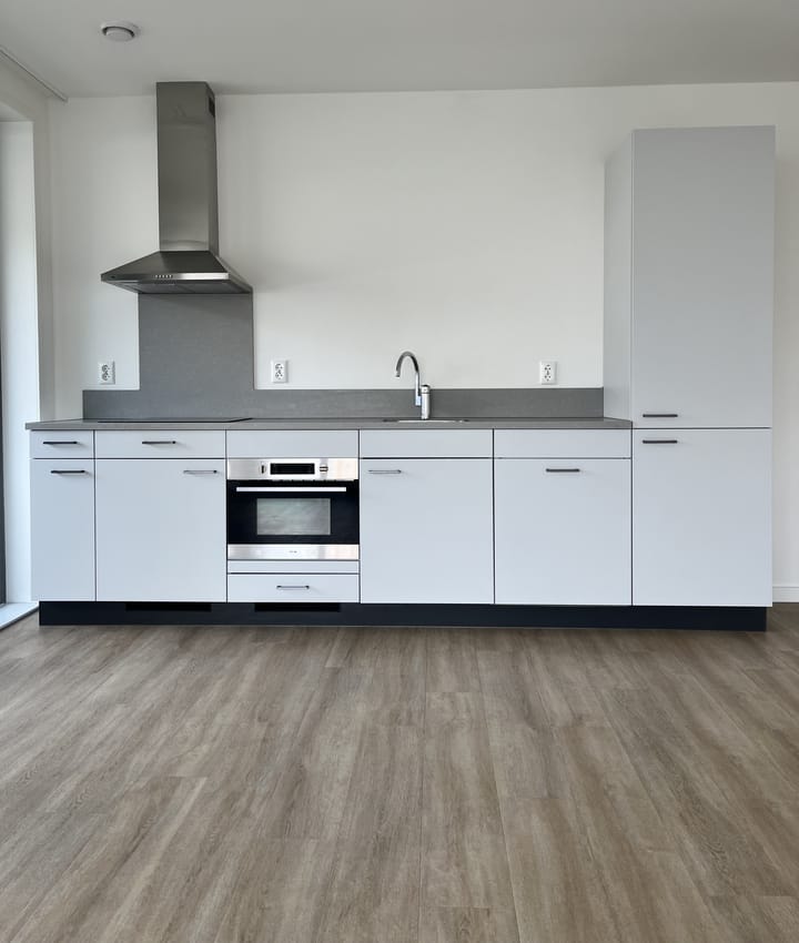 Foto 7 van Baan 42-X