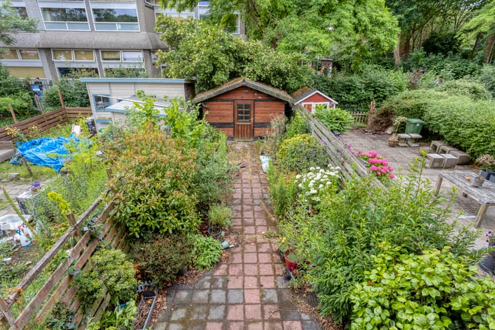 Foto 3 van Zomerdoorn 24