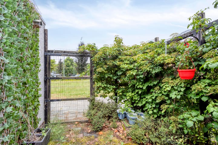 Foto 6 van Zomerdoorn 24