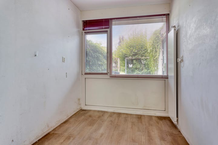 Foto 11 van Zomerdoorn 24