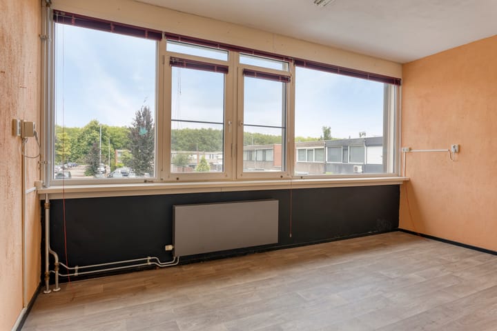 Foto 24 van Zomerdoorn 24