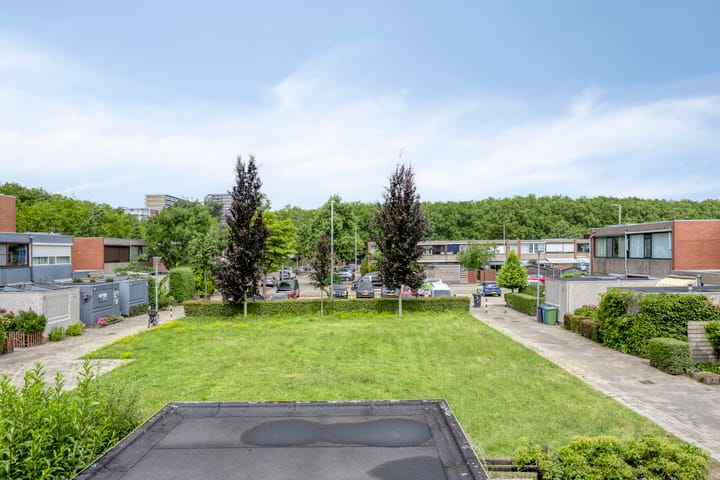 Foto 26 van Zomerdoorn 24