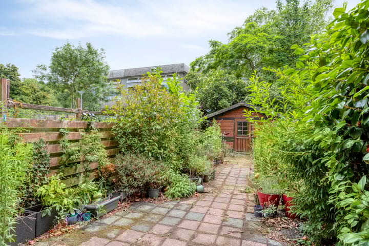 Foto 27 van Zomerdoorn 24