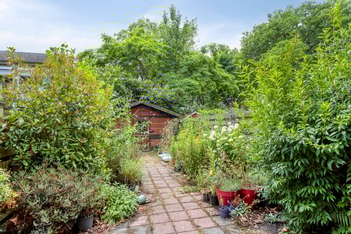 Foto 28 van Zomerdoorn 24