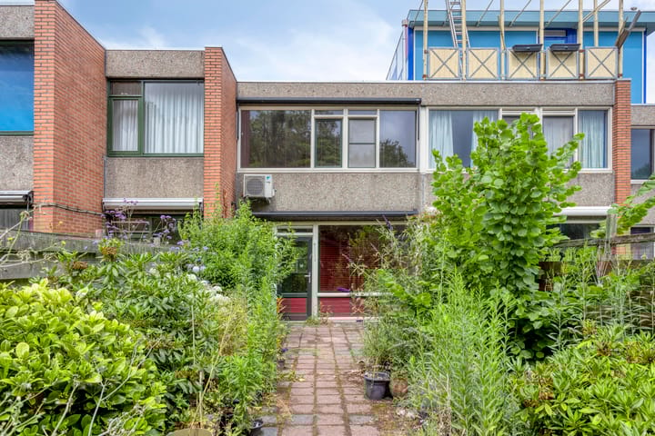 Foto 29 van Zomerdoorn 24