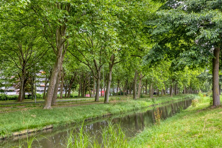 Foto 30 van Zomerdoorn 24