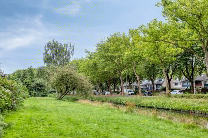 Foto 31 van Zomerdoorn 24