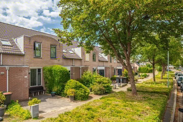 Foto 5 van Schapenweide 212