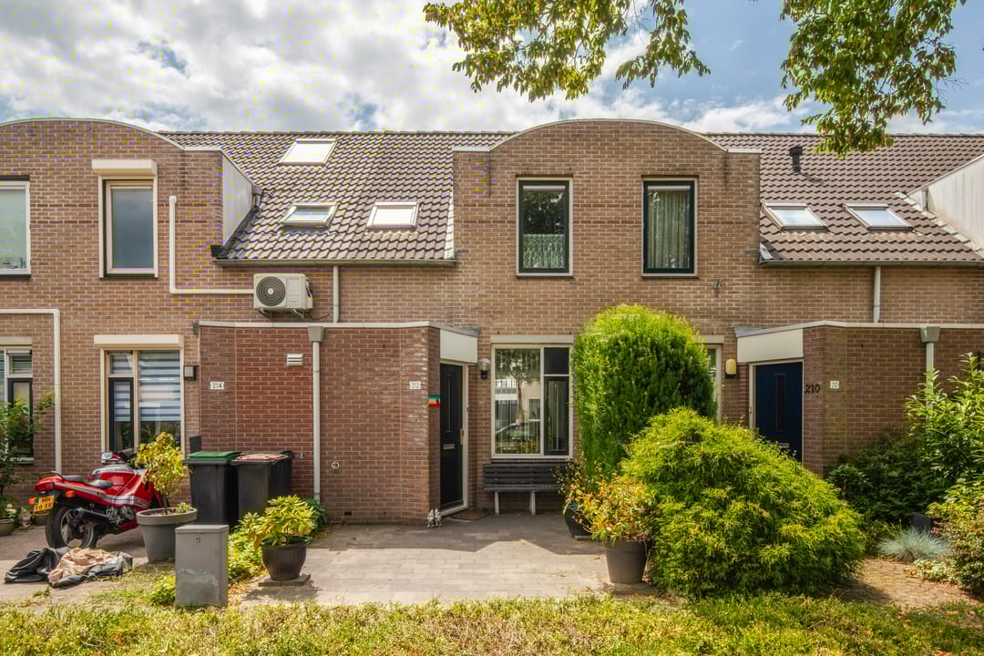 Foto 7 van Schapenweide 212