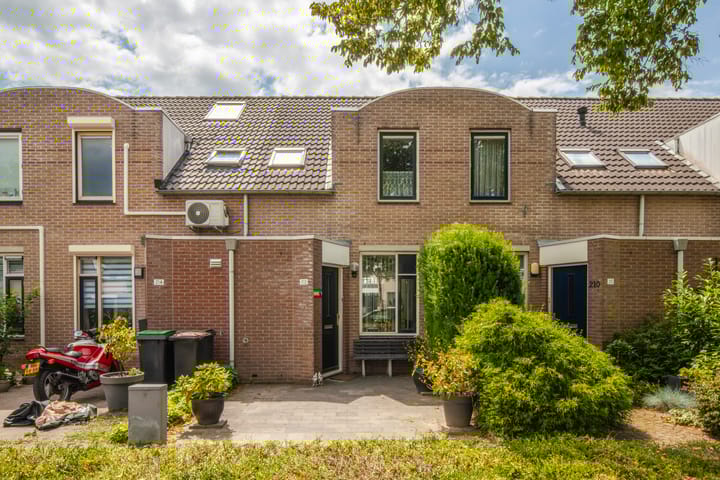 Foto 7 van Schapenweide 212