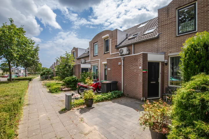 Foto 8 van Schapenweide 212