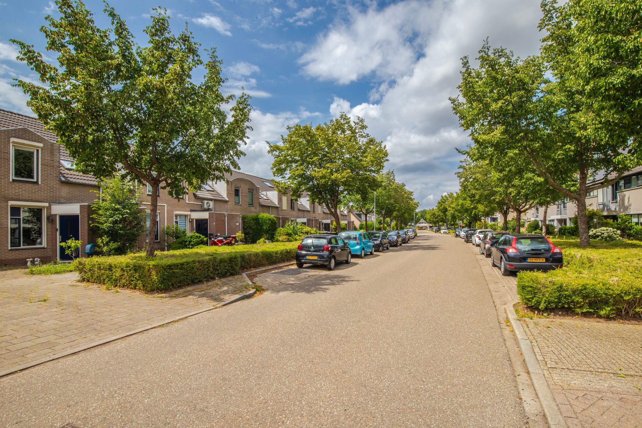 Foto 18 van Schapenweide 212