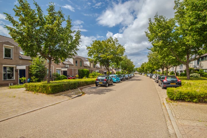 Foto 18 van Schapenweide 212